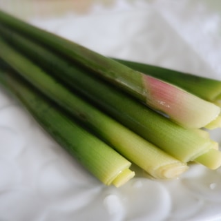 春の香りを味わう♪ミョウガタケの和風ピクルス